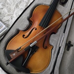 Elegant Violin with Bow in Case